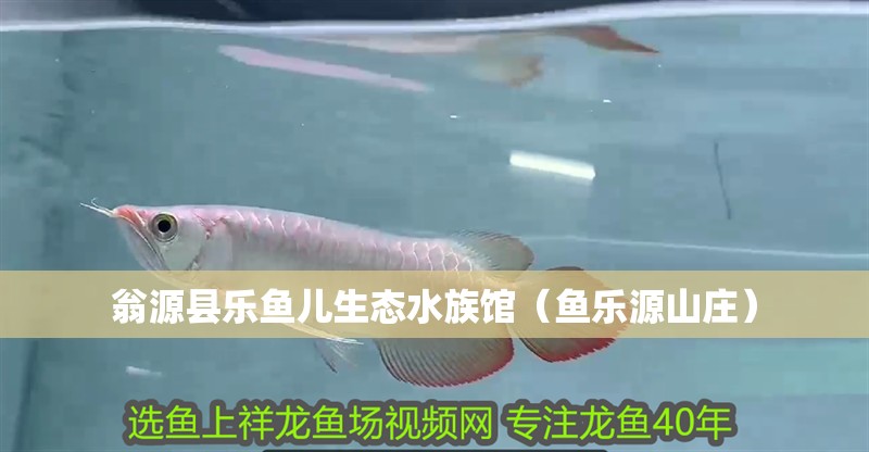 翁源縣樂魚兒生態水族館（魚樂源山莊）