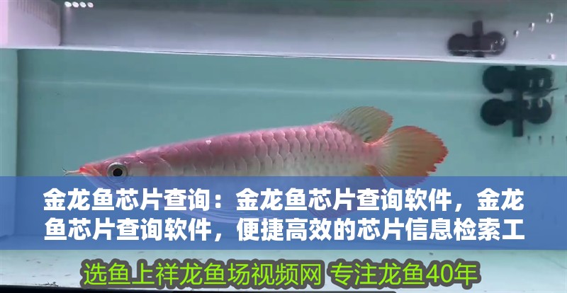 金龍魚芯片查詢：金龍魚芯片查詢軟件，金龍魚芯片查詢軟件，便捷高效的芯片信息檢索工具