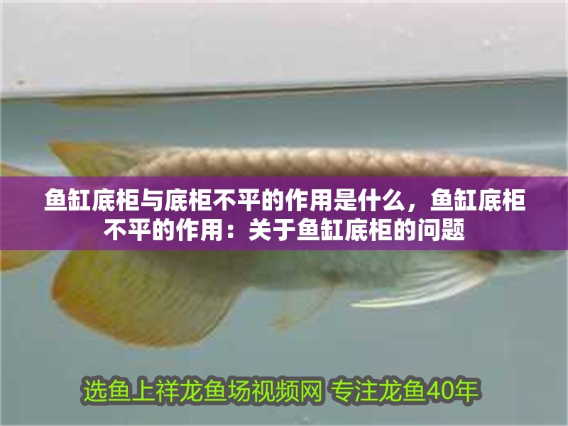 魚缸底柜與底柜不平的作用是什么，魚缸底柜不平的作用：關(guān)于魚缸底柜的問題