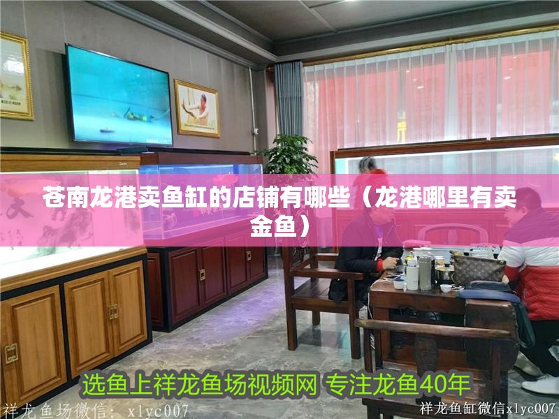 蒼南龍港賣魚缸的店鋪有哪些（龍港哪里有賣金魚）