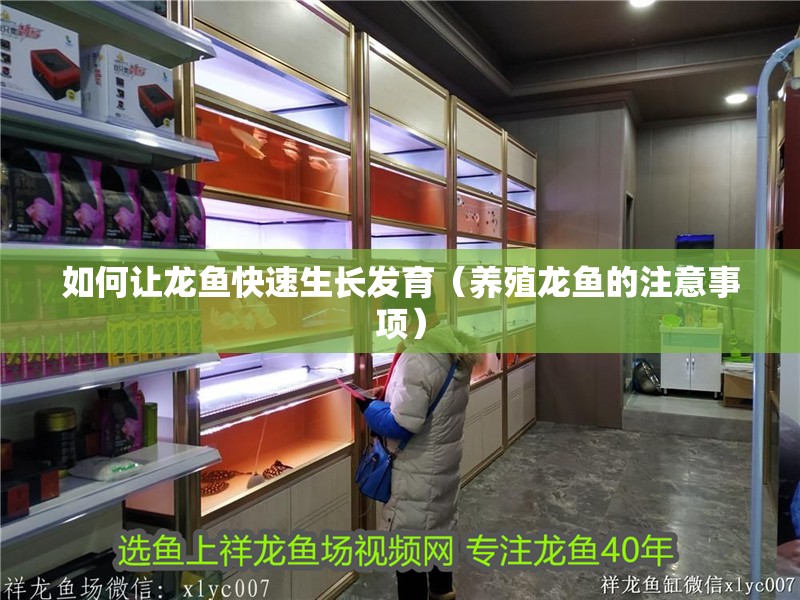 如何讓龍魚快速生長發(fā)育（養(yǎng)殖龍魚的注意事項(xiàng)） 如何讓龍魚快速生長發(fā)育（養(yǎng)殖龍魚的注意事項(xiàng)） 龍魚百科 第2張