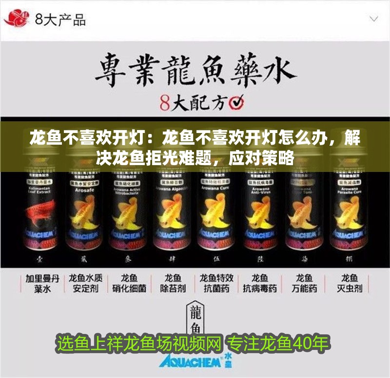 龍魚不喜歡開燈：龍魚不喜歡開燈怎么辦，解決龍魚拒光難題，應(yīng)對(duì)策略