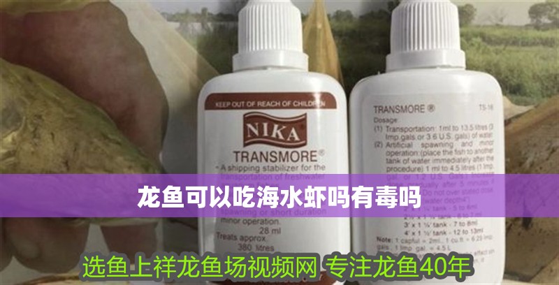 龍魚可以吃海水蝦嗎有毒嗎 龍魚可以吃海水蝦嗎有毒嗎 龍魚百科 第2張