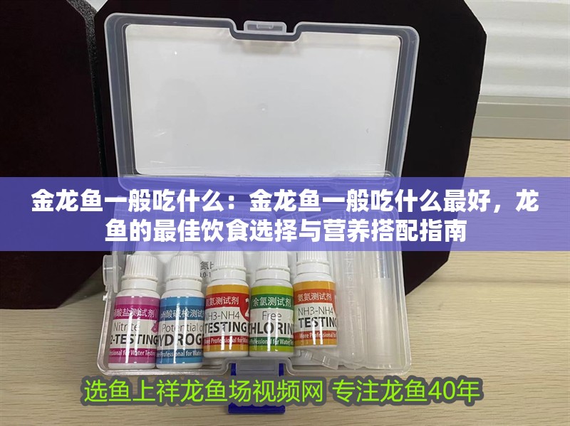金龍魚一般吃什么：金龍魚一般吃什么最好，龍魚的最佳飲食選擇與營養搭配指南