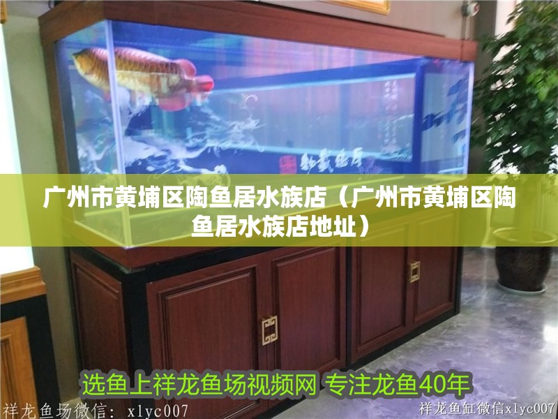廣州市黃埔區陶魚居水族店（廣州市黃埔區陶魚居水族店地址） 廣州市黃埔區陶魚居水族店（廣州市黃埔區陶魚居水族店地址） 全國水族館企業名錄 第2張