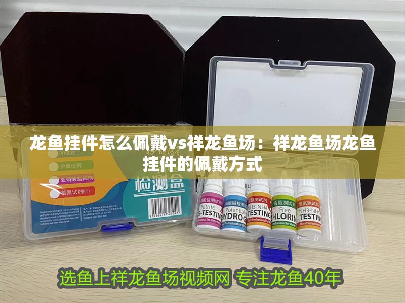 龍魚(yú)掛件怎么佩戴vs祥龍魚(yú)場(chǎng):祥龍魚(yú)場(chǎng)龍魚(yú)掛件的佩戴方式 vs祥龍魚(yú)場(chǎng) 第1張 龍魚(yú)掛件怎么佩戴vs祥龍魚(yú)場(chǎng):祥龍魚(yú)場(chǎng)龍魚(yú)掛件的佩戴方式 龍魚(yú)掛件怎么佩戴vs祥龍魚(yú)場(chǎng):祥龍魚(yú)場(chǎng)龍魚(yú)掛件的佩戴方式 vs祥龍魚(yú)場(chǎng) 第1張