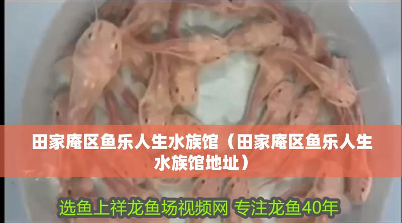 田家庵區魚樂人生水族館（田家庵區魚樂人生水族館地址） 田家庵區魚樂人生水族館（田家庵區魚樂人生水族館地址） 全國水族館企業名錄 第2張