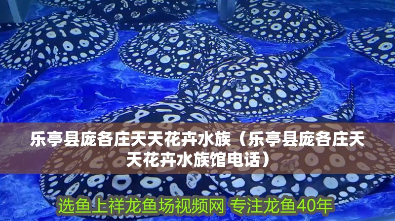 樂亭縣龐各莊天天花卉水族（樂亭縣龐各莊天天花卉水族館電話）