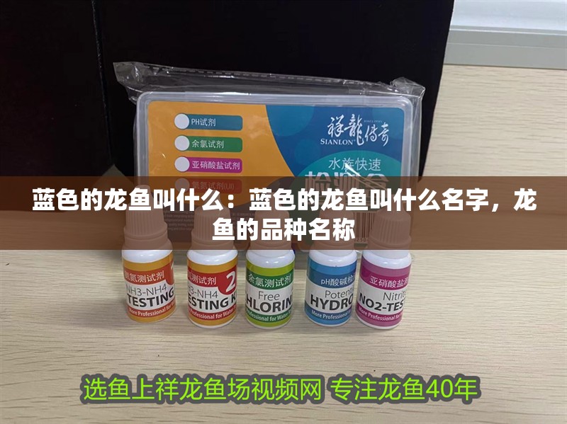 藍色的龍魚叫什么：藍色的龍魚叫什么名字，龍魚的品種名稱