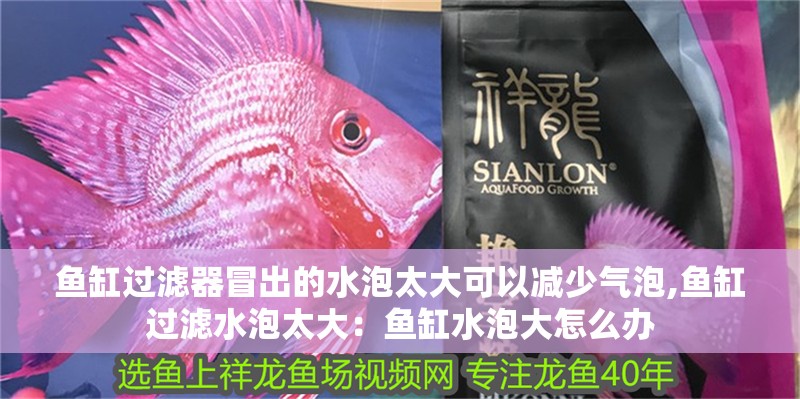 魚缸過(guò)濾器冒出的水泡太大可以減少氣泡,魚缸過(guò)濾水泡太大：魚缸水泡大怎么辦