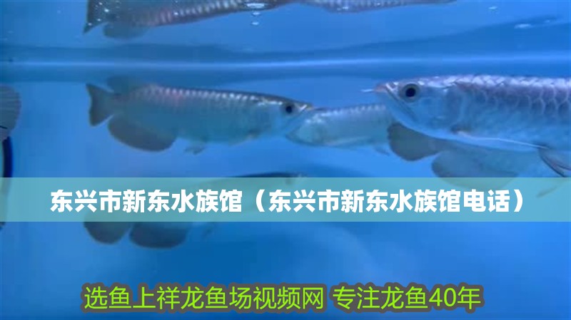 東興市新東水族館(東興市新東水族館電話) 全國水族館企業(yè)名錄 第2張 東興市新東水族館(東興市新東水族館電話) 東興市新東水族館(東興市新東水族館電話) 全國水族館企業(yè)名錄 第2張