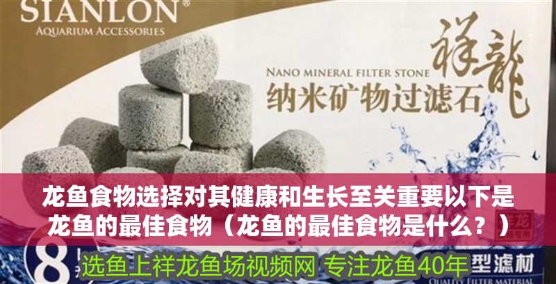 龍魚食物選擇對其健康和生長至關重要以下是龍魚的最佳食物（龍魚的最佳食物是什么？）