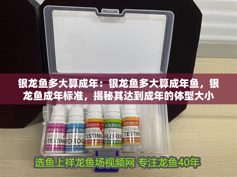 銀龍魚多大算成年：銀龍魚多大算成年魚，銀龍魚成年標(biāo)準(zhǔn)，揭秘其達(dá)到成年的體型大小 銀龍魚多大算成年：銀龍魚多大算成年魚，銀龍魚成年標(biāo)準(zhǔn)，揭秘其達(dá)到成年的體型大小 水族問答