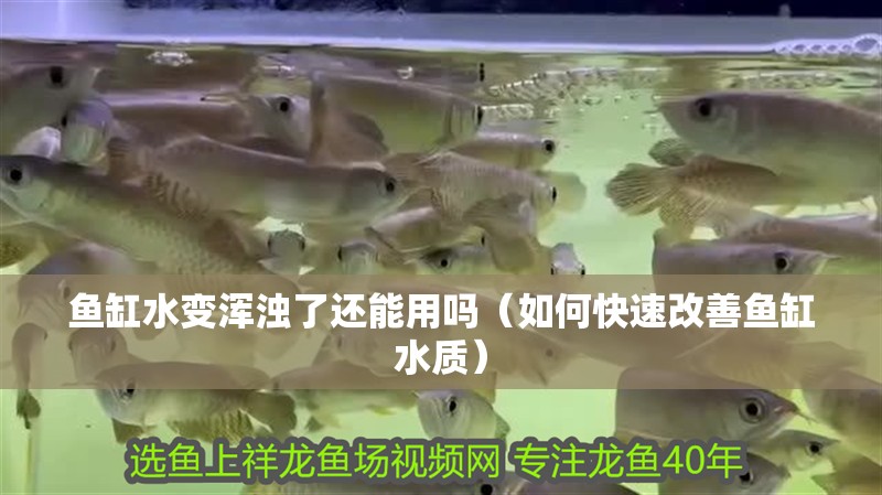 魚缸水變渾濁了還能用嗎（如何快速改善魚缸水質）