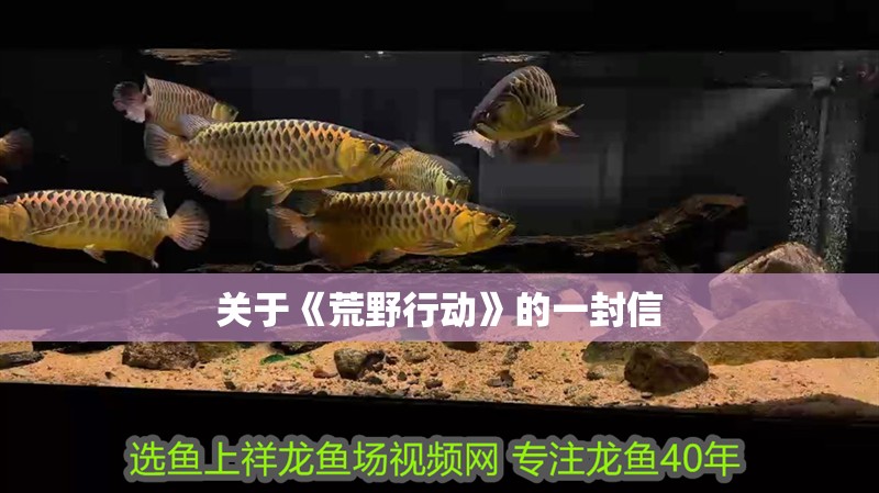 魚缸用增氧泵價格是多少:魚缸增氧機-xtrac增氧機-xtrac增氧機 關于《荒野行動》的一封信 全國水族館企業名錄 關于《荒野行動》的一封信 關于《荒野行動》的一封信 全國水族館企業名錄