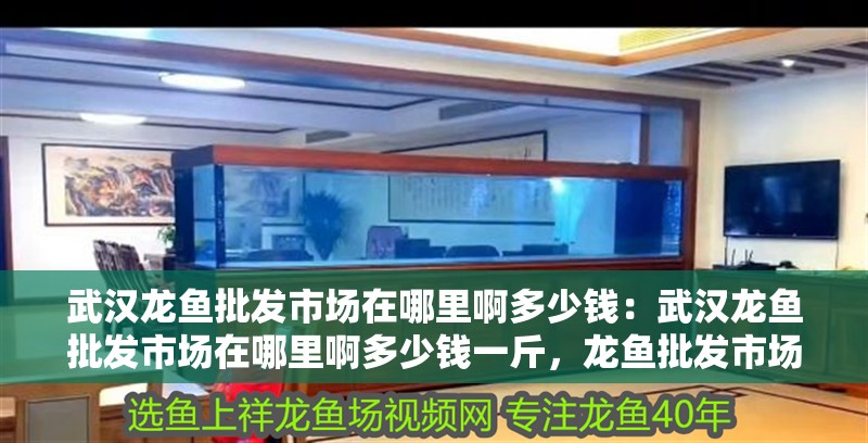 武漢龍魚批發市場在哪里啊多少錢:武漢龍魚批發市場在哪里啊多少錢一斤,龍魚批發市場位置及 水族問答 武漢龍魚批發市場在哪里啊多少錢:武漢龍魚批發市場在哪里啊多少錢一斤,龍魚批發市場位置及 武漢龍魚批發市場在哪里啊多少錢:武漢龍魚批發市場在哪里啊多少錢一斤,龍魚批發市場位置及 水族問答