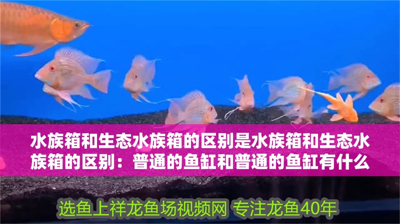 水族箱和生態水族箱的區別是水族箱和生態水族箱的區別：普通的魚缸和普通的魚缸有什么區別