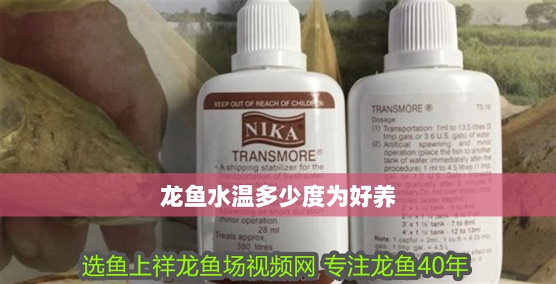 龍魚水溫多少度為好養(yǎng)