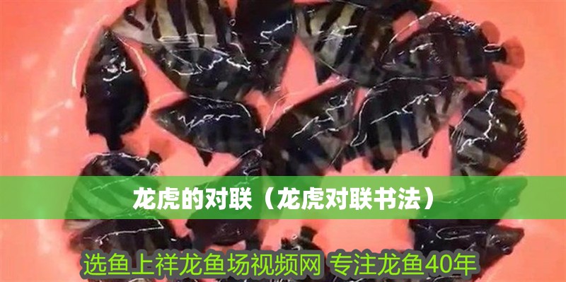 龍虎的對(duì)聯(lián)（龍虎對(duì)聯(lián)書法）