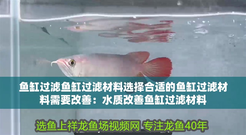 魚缸過濾魚缸過濾材料選擇合適的魚缸過濾材料需要改善：水質改善魚缸過濾材料 魚缸過濾魚缸過濾材料選擇合適的魚缸過濾材料需要改善：水質改善魚缸過濾材料 魚缸百科