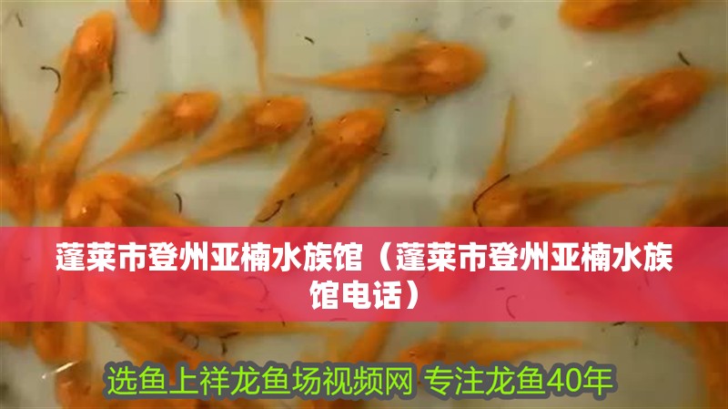 蓬萊市登州亞楠水族館（蓬萊市登州亞楠水族館電話） 蓬萊市登州亞楠水族館（蓬萊市登州亞楠水族館電話） 全國水族館企業(yè)名錄 第2張