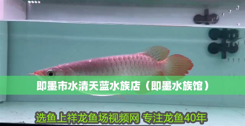 即墨市水清天藍水族店（即墨水族館）