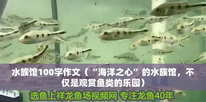 水族館100字作文(“海洋之心”的水族館,不僅是觀賞魚類的樂園) 水族館百科(水族館加盟) 第1張 水族館100字作文(“海洋之心”的水族館,不僅是觀賞魚類的樂園) 水族館100字作文(“海洋之心”的水族館,不僅是觀賞魚類的樂園) 水族館百科(水族館加盟) 第1張