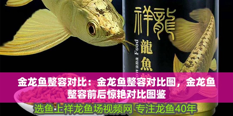 金龍魚整容對比：金龍魚整容對比圖，金龍魚整容前后驚艷對比圖鑒 金龍魚整容對比：金龍魚整容對比圖，金龍魚整容前后驚艷對比圖鑒 水族問答