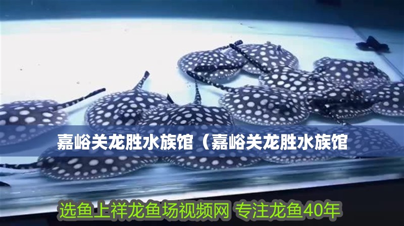 嘉峪關(guān)龍勝水族館（嘉峪關(guān)龍勝水族館