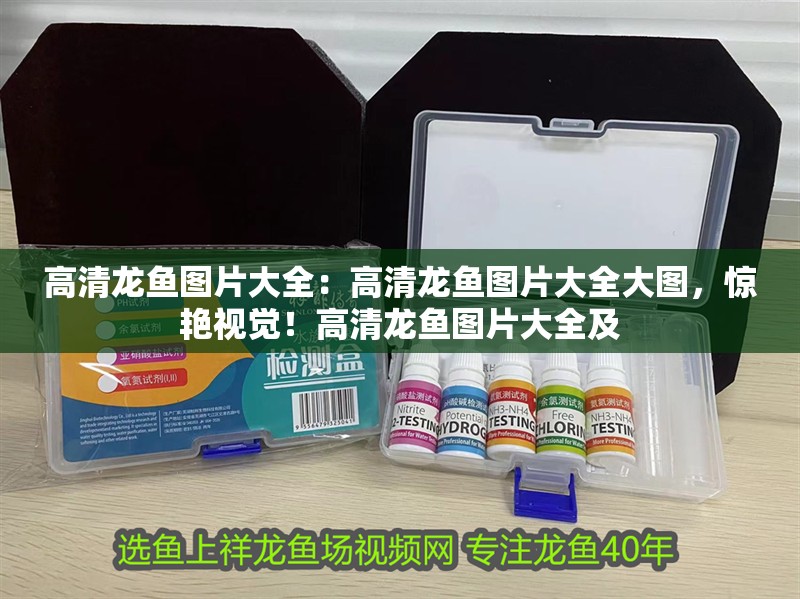 高清龍魚圖片大全：高清龍魚圖片大全大圖，驚艷視覺！高清龍魚圖片大全及