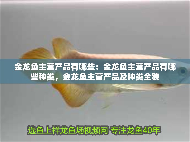 金龍魚主營產品有哪些:金龍魚主營產品有哪些種類,金龍魚主營產品及種類全貌 水族問答 金龍魚主營產品有哪些:金龍魚主營產品有哪些種類,金龍魚主營產品及種類全貌 金龍魚主營產品有哪些:金龍魚主營產品有哪些種類,金龍魚主營產品及種類全貌 水族問答