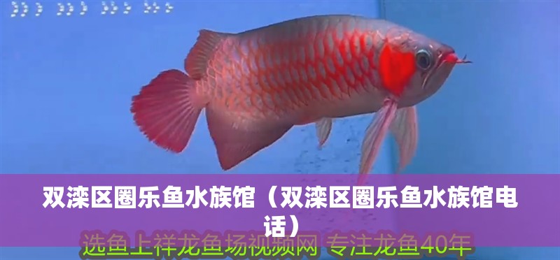 雙灤區圈樂魚水族館（雙灤區圈樂魚水族館電話）