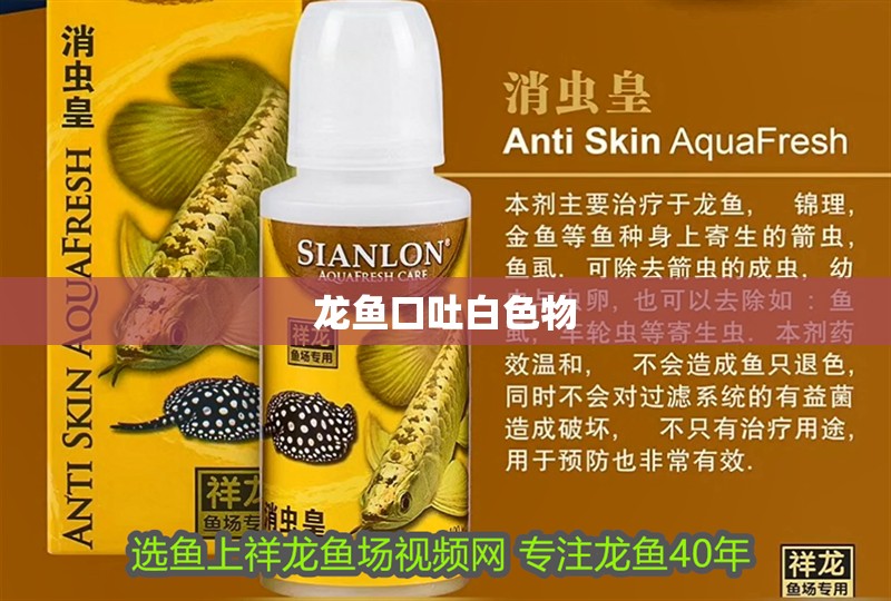龍魚口吐白色物