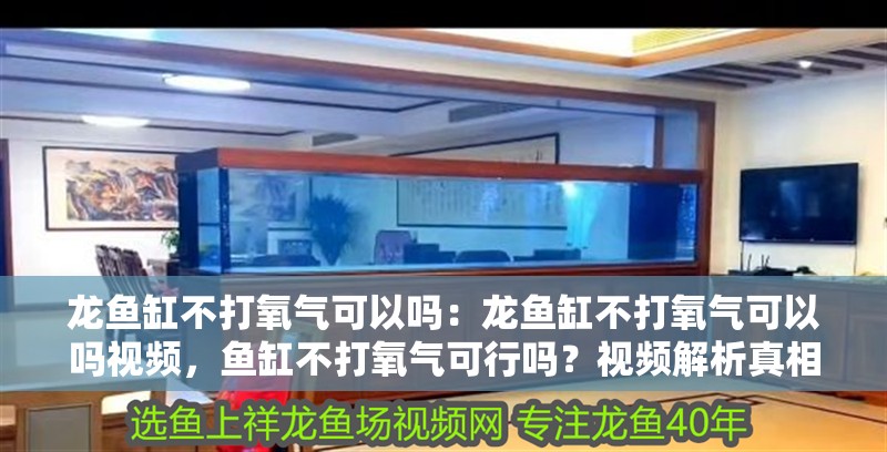 龍魚缸不打氧氣可以嗎：龍魚缸不打氧氣可以嗎視頻，魚缸不打氧氣可行嗎？視頻解析真相