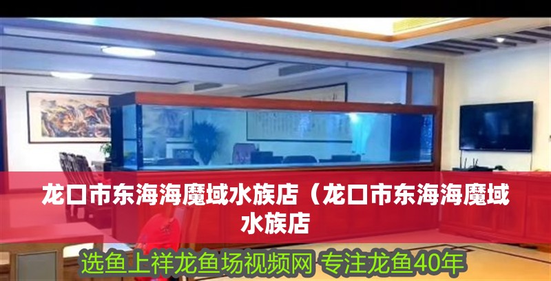 龍口市東海海魔域水族店（龍口市東海海魔域水族店 龍口市東海海魔域水族店（龍口市東海海魔域水族店 全國水族館企業名錄 第2張