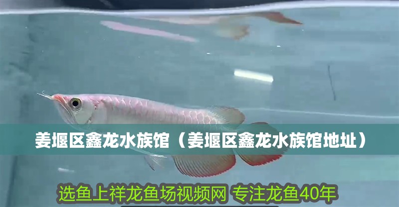 姜堰區鑫龍水族館（姜堰區鑫龍水族館地址） 姜堰區鑫龍水族館（姜堰區鑫龍水族館地址） 全國水族館企業名錄 第2張