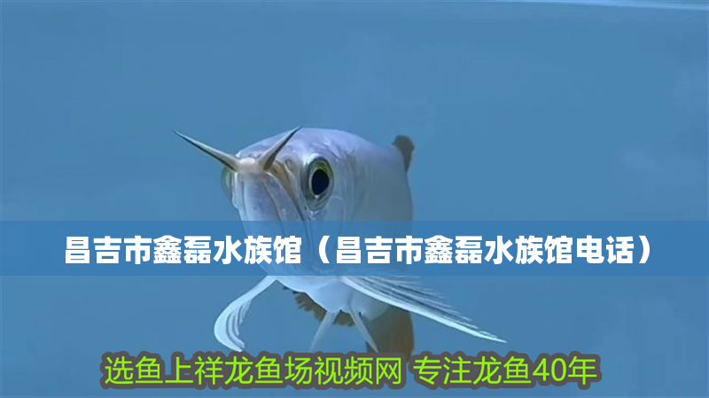 昌吉市鑫磊水族館（昌吉市鑫磊水族館電話） 昌吉市鑫磊水族館（昌吉市鑫磊水族館電話） 全國水族館企業名錄 第2張