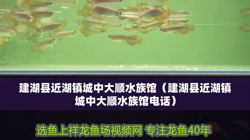 建湖縣近湖鎮城中大順水族館（建湖縣近湖鎮城中大順水族館電話）