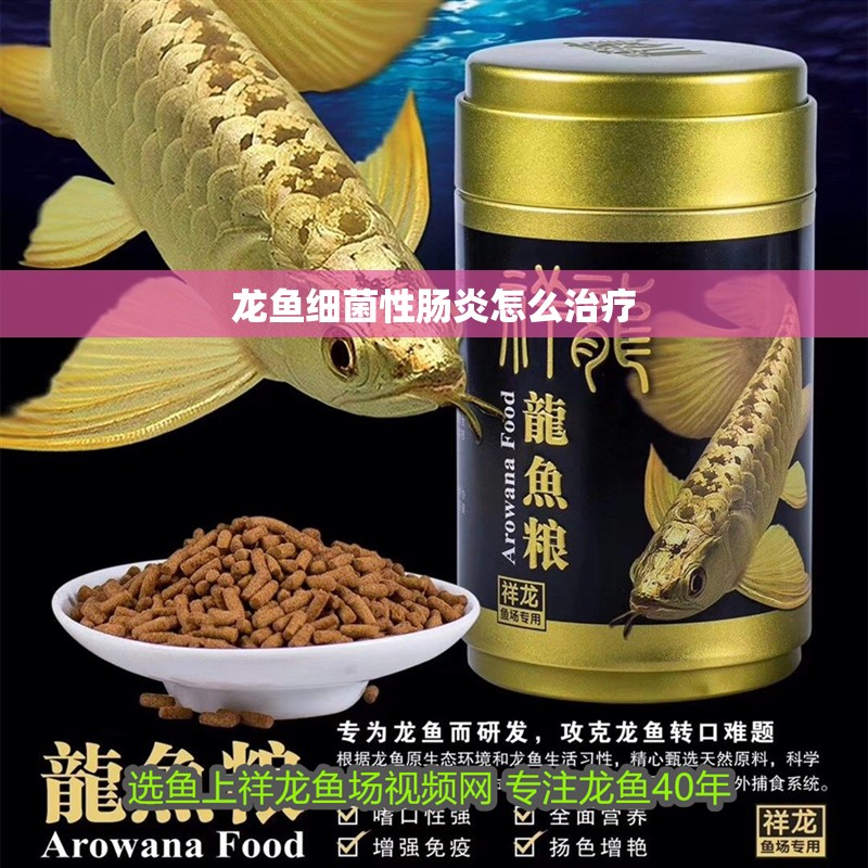 龍魚細菌性腸炎怎么治療