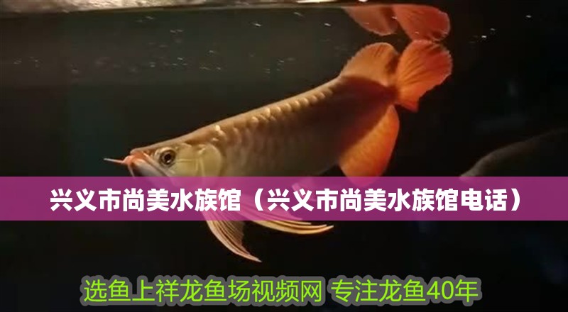 興義市尚美水族館（興義市尚美水族館電話） 興義市尚美水族館（興義市尚美水族館電話） 全國水族館企業名錄 第2張