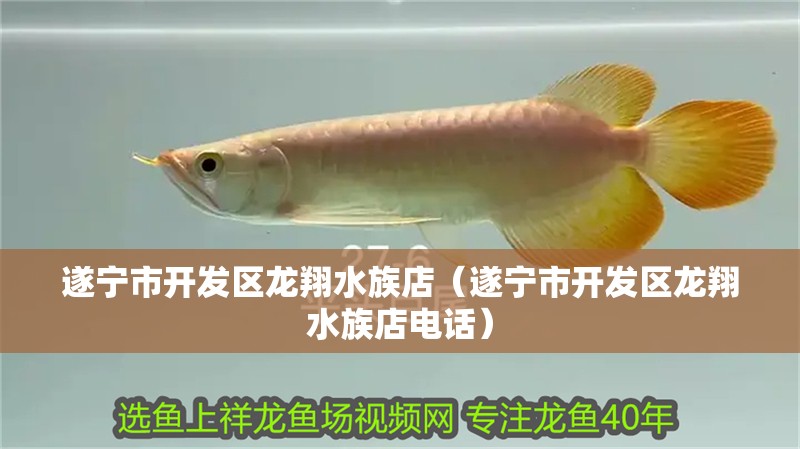 遂寧市開發區龍翔水族店（遂寧市開發區龍翔水族店電話） 遂寧市開發區龍翔水族店（遂寧市開發區龍翔水族店電話） 全國水族館企業名錄 第2張