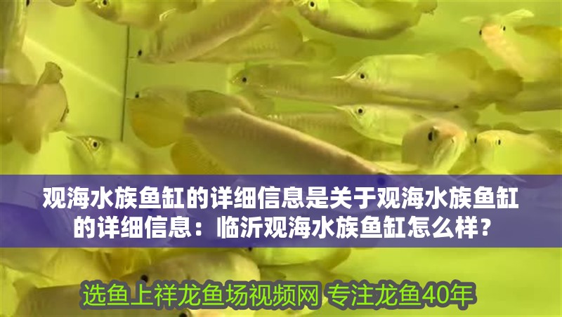 觀海水族魚缸的詳細信息是關于觀海水族魚缸的詳細信息：臨沂觀海水族魚缸怎么樣？