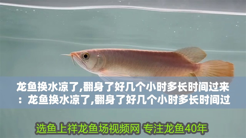 龍魚換水涼了,翻身了好幾個(gè)小時(shí)多長時(shí)間過來：龍魚換水涼了,翻身了好幾個(gè)小時(shí)多長時(shí)間過來正常，龍魚換水后低溫應(yīng)激，翻身數(shù)小時(shí)多久恢復(fù)正常？