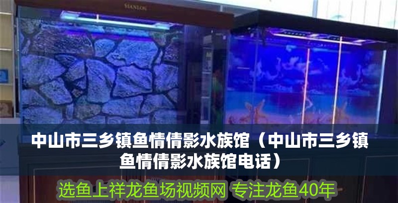 中山市三鄉(xiāng)鎮(zhèn)魚情倩影水族館(中山市三鄉(xiāng)鎮(zhèn)魚情倩影水族館電話) 全國水族館企業(yè)名錄 第2張 中山市三鄉(xiāng)鎮(zhèn)魚情倩影水族館(中山市三鄉(xiāng)鎮(zhèn)魚情倩影水族館電話) 中山市三鄉(xiāng)鎮(zhèn)魚情倩影水族館(中山市三鄉(xiāng)鎮(zhèn)魚情倩影水族館電話) 全國水族館企業(yè)名錄 第2張