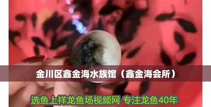 金川區(qū)鑫金海水族館（鑫金海會所）