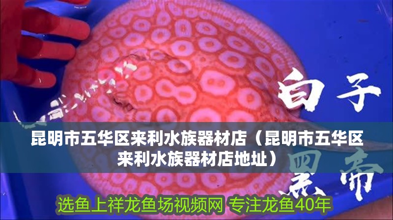 昆明市五華區(qū)來利水族器材店（昆明市五華區(qū)來利水族器材店地址）