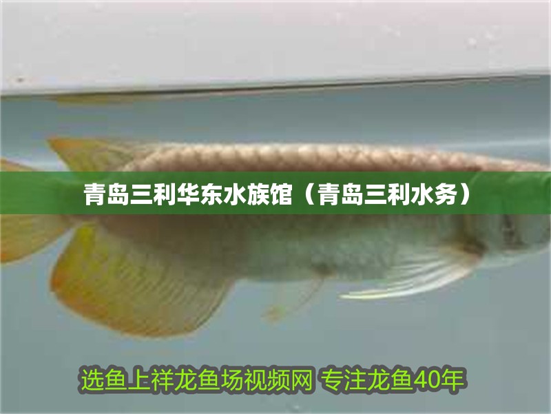 青島三利華東水族館（青島三利水務）