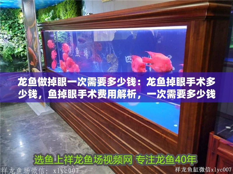 龍魚做掉眼一次需要多少錢：龍魚掉眼手術多少錢，魚掉眼手術費用解析，一次需要多少錢