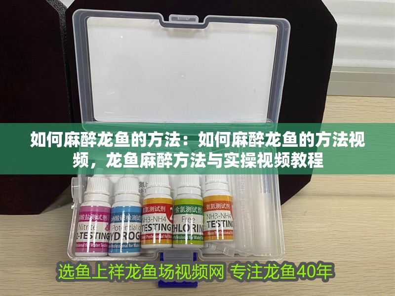 如何麻醉龍魚的方法：如何麻醉龍魚的方法視頻，龍魚麻醉方法與實(shí)操視頻教程