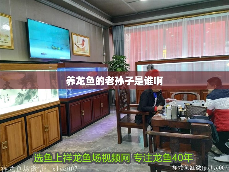 養龍魚的老孫子是誰啊
